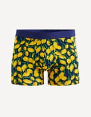 Celio Boksarice Gibolemon S