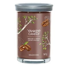 Yankee Candle Svíčka ve skleněném válci , Pralinka a bříza, 567 g