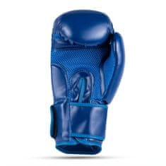 DBX BUSHIDO boksarske rokavice ARB-407-Blue 10 oz