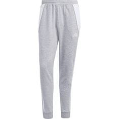 Adidas Hlače siva 182 - 187 cm/XL Tiro 24 Sweat