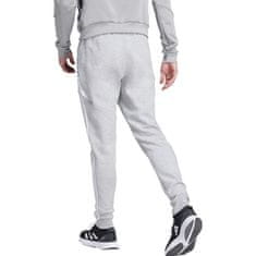 Adidas Hlače siva 182 - 187 cm/XL Tiro 24 Sweat