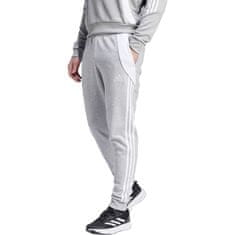 Adidas Hlače siva 182 - 187 cm/XL Tiro 24 Sweat