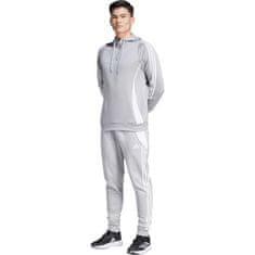 Adidas Hlače siva 182 - 187 cm/XL Tiro 24 Sweat