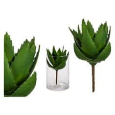 BigBuy Dekorativne rastline 8430852770363 Zelena plastika