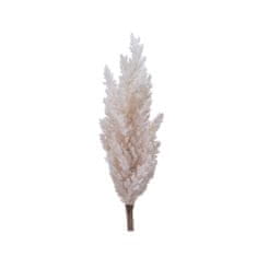 BigBuy Okrasna rastlina Everlands Pampas (Ø 9 x 90 cm)