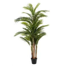 Miramarket Dekorativna rastlina Polietilen Areca 189 cm