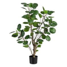 BigBuy Okrasna rastlina 80 x 77 x 113 cm Zelena PVC Aralia