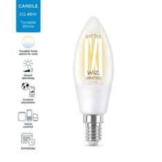 BigBuy Pametna žarnica Ledkia Filament