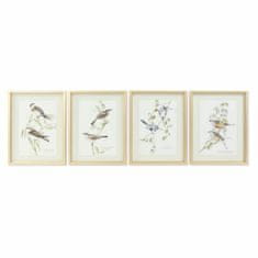 NEW Slika DKD Home Decor 35 x 2,5 x 45 cm Tradicionalna Ptice (4 Kosi)