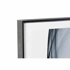 NEW Slika DKD Home Decor Perje 80 x 3 x 160 cm