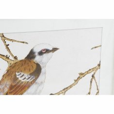 NEW Slika DKD Home Decor Ptice Shabby Chic 60 x 2,5 x 60 cm (4 kosov)