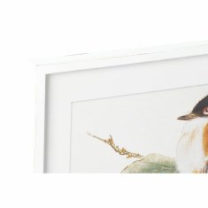 NEW Slika DKD Home Decor Ptice Shabby Chic 60 x 2,5 x 60 cm (4 kosov)