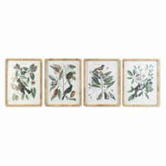 NEW Slika DKD Home Decor 50 x 2,5 x 65 cm Shabby Chic Botanične rastline (4 Kosi)