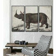 NEW Slika DKD Home Decor Kolonialno Nosorog (180 x 4 x 120 cm)
