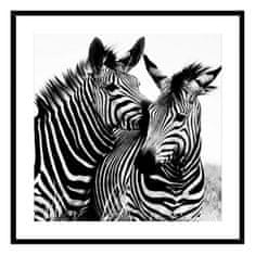 NEW Slika Zebra Kristal (2 x 50 x 50 cm)