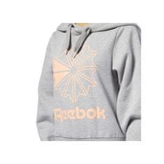 Reebok Športni pulover 170 - 175 cm/M Big Logo Hoodie