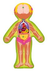 Woody Dvostranska sestavljanka Človeško telo - Dekle