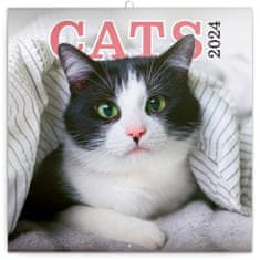 Opomba koledar 2024: Mačke, 30 × 30 cm