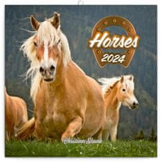 Koledar 2024 zvezek: konji - Christiane Slawik, 30 × 30 cm