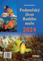 Koledar 2024 Podvodno življenje Rdečega morja - stenski koledar