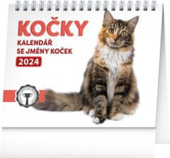 Namizni koledar 2024: Mačke z imeni, 16,5 × 13 cm