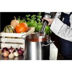 Royal Catering Zmogljiv robotski mešalnik ročni mešalnik 250mm dolžina roke 350W 230V Royal Catering