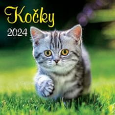 Koledar 2024 Mačke, stenski koledar
