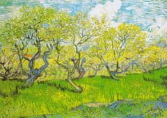 ENJOY Puzzle Vincent Van Gogh: Cvetoči komplet 1000 kosov