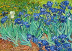 ENJOY Puzzle Vincent Van Gogh: Iris 1000 kosov