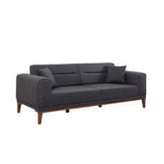 Atelier Del Sofa Raztegljiv kavč s 3 sedeži, Liones 33 - antracit