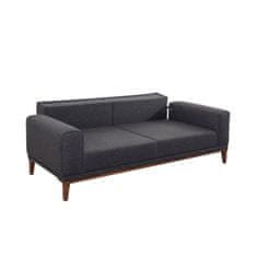 Atelier Del Sofa Raztegljiv kavč s 3 sedeži, Liones 33 - antracit