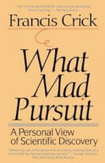 What Mad Pursuit