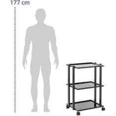 Noah Kozmetični voziček 3 steklene police 55 x 41 x 80 cm - črna