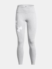 Under Armour Hlače Campus Legging-GRY M