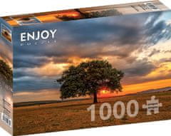 ENJOY Twilight Puzzle 1000 kosov