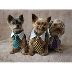 Gentledog kravata za pse vijolična oblačila velikost L