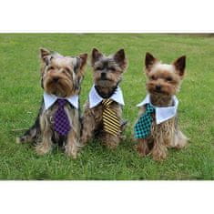 Gentledog kravata za pse vijolična oblačila velikost L