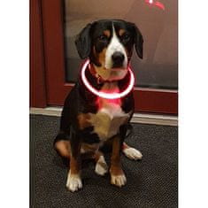 Svetleča svetleča ovratnica za pse oranžna dolžina 35 cm