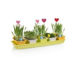 Plastkon Minigarden 60 Spring Mix varianta sadilnika 41165