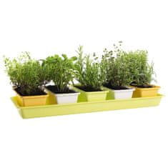 Plastkon Minigarden 60 Spring Mix varianta sadilnika 41165