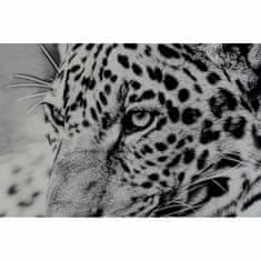 NEW Slika DKD Home Decor 100 x 2,5 x 100 cm Leopard Kolonialno (2 kosov)