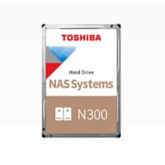 NEW Trdi Disk Toshiba N300 NAS 6 TB