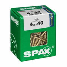 BigBuy Škatla z vijaki SPAX Vijak za les z ravno glavo (4,5 x 40 mm)