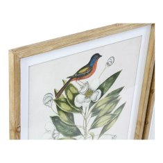 NEW Slika DKD Home Decor Bird 55 x 2,5 x 70 cm Tropical Ptice (4 Kosi)