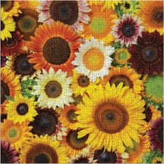 Galison Kvadratna sestavljanka Sunflower Blossoms 500 kosov