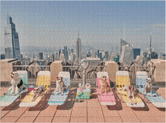 Galison Puzzle Gray Malin: Psi New Yorka 1000 kosov