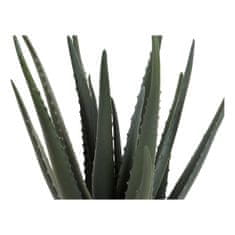 DKD Home Decor Okrasna rastlina DKD Home Decor Aloe Vera Polietilenska posoda (20 x 20 x 47 cm)