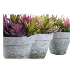 DKD Home Decor Okrasna rastlina DKD Home Decor Stoneware Polipropilen (PP) EVA (3 kosi) (20 x 19 x 22 cm)