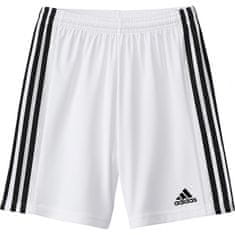 Adidas adidas Squadra 21 Short Mladinske kratke hlače GN5766