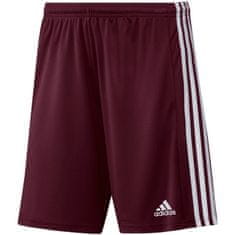 Adidas adidas Squadra 21 Short Junior kratke hlače GN8081